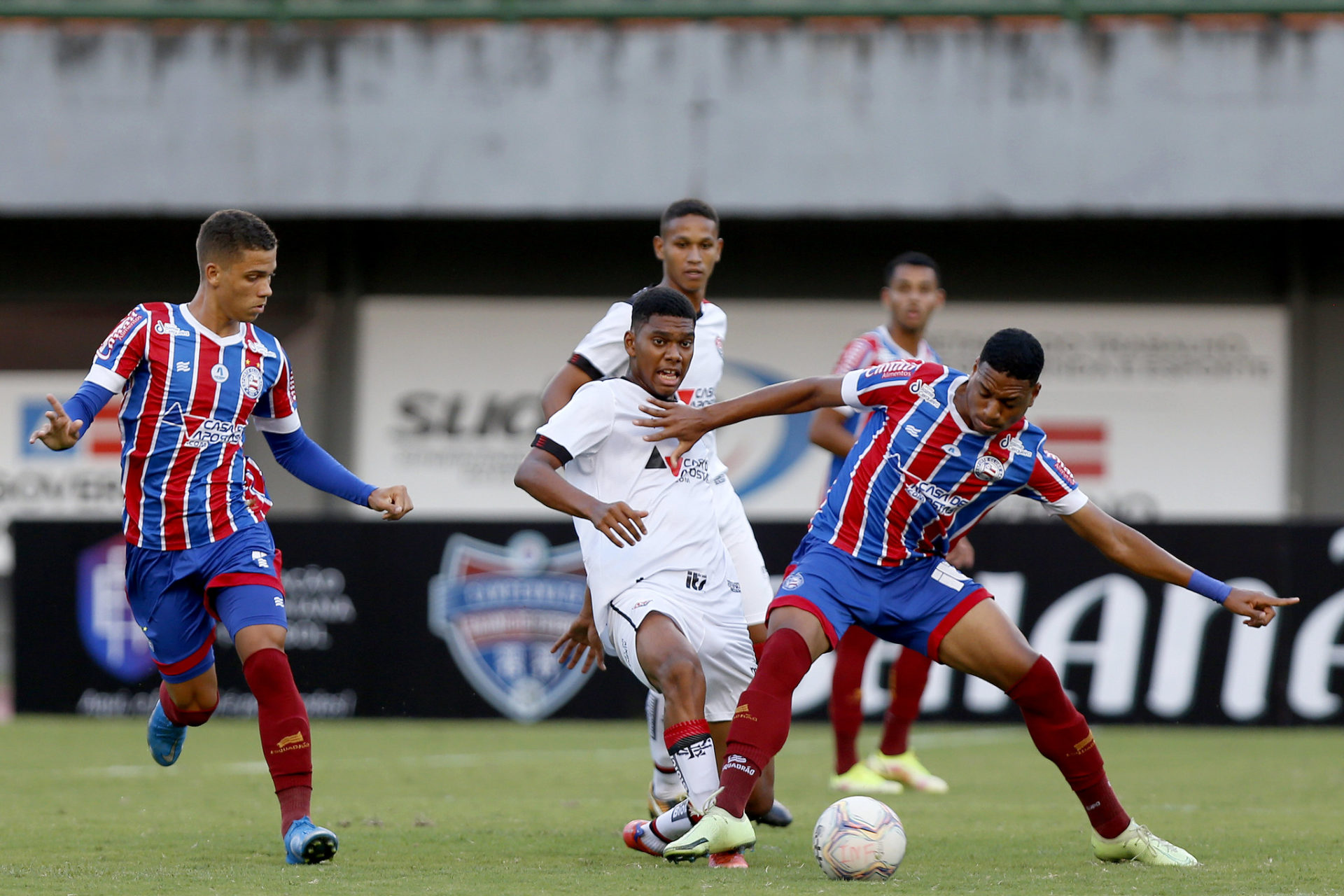 BaVi em dose dupla. Foto: Felipe Oliveira / EC Bahia