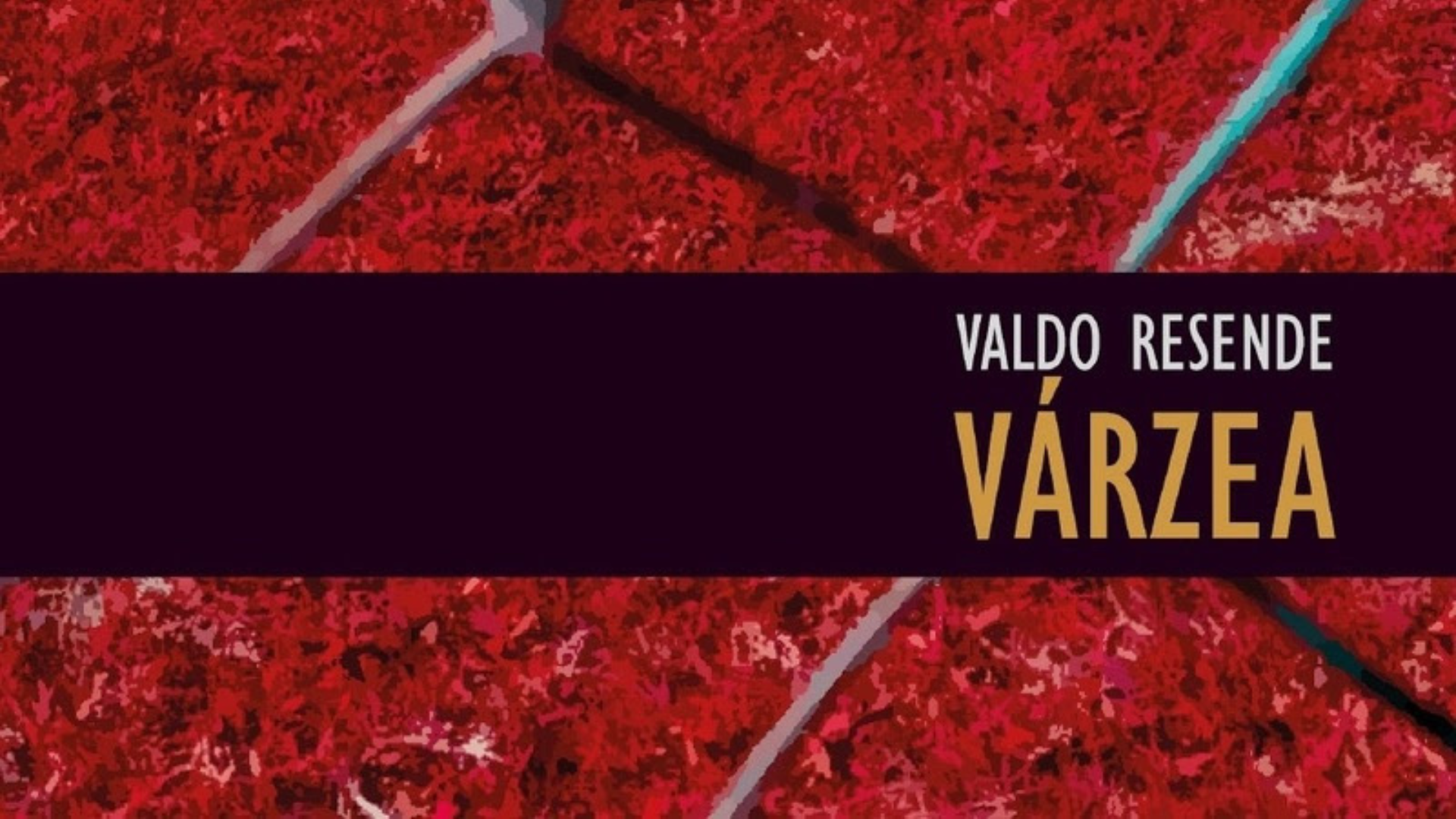 Livro Várzea, de Valdo Resende / Créditos: Divulgação